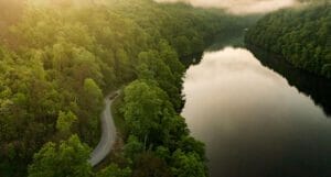 An aerial view of a river surrounded by the lush forest.